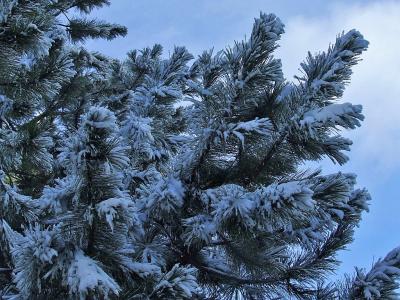 Прикрепленное изображение: 003a.jpg